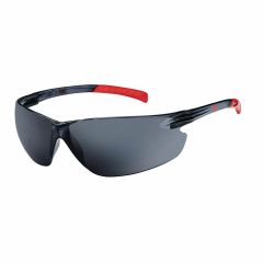 3M SNN301S Savanah Glasses_ Smoke Antifog Lens