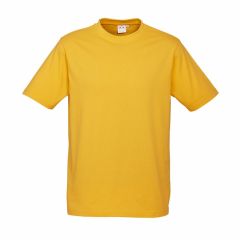 Biz Collection T10032 Kids Ice Tee 185gsm_ Gold