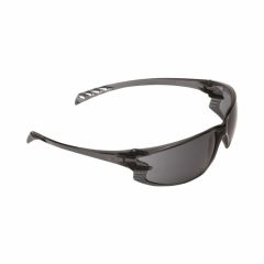 PRO 9902 Spec Smoke Lens_ Black Frame